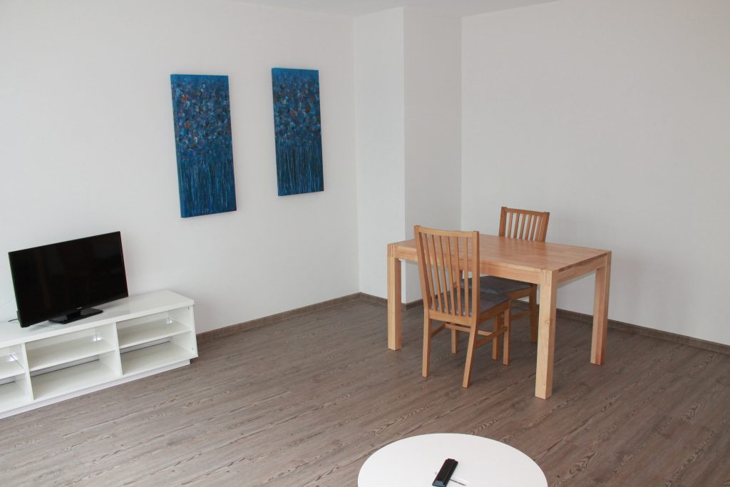 apartment frankfurt available for rent