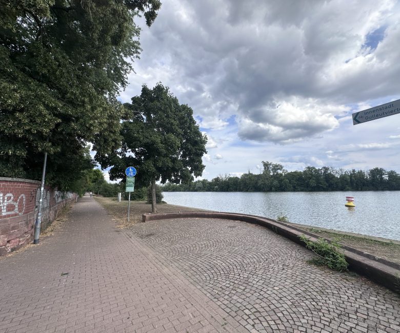 Jogging by the River Main