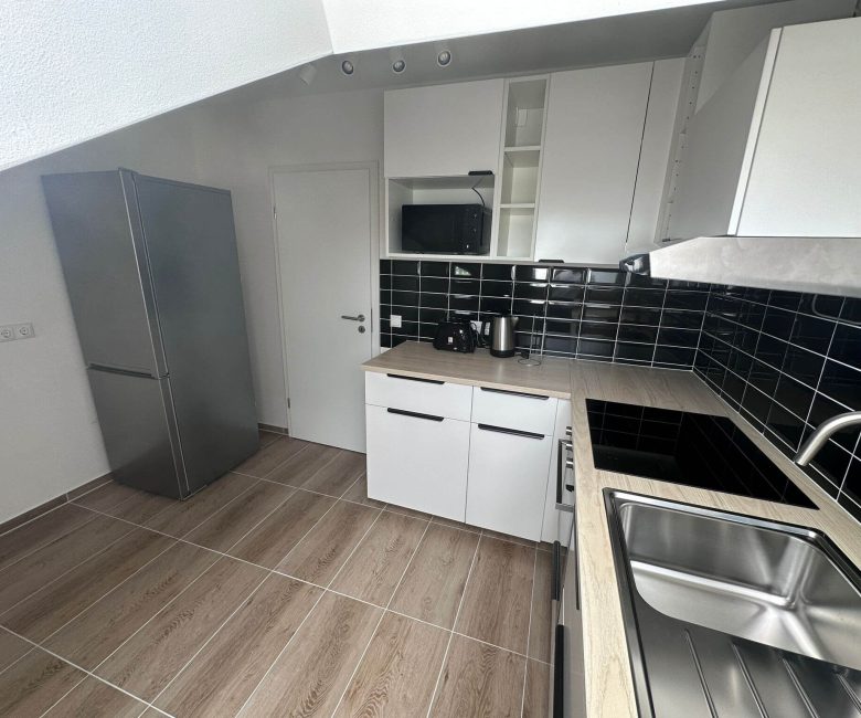 apartments in frankfurt germany for rent
