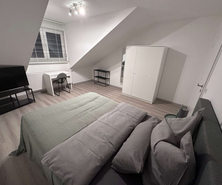 apartments in frankfurt germany for rent
