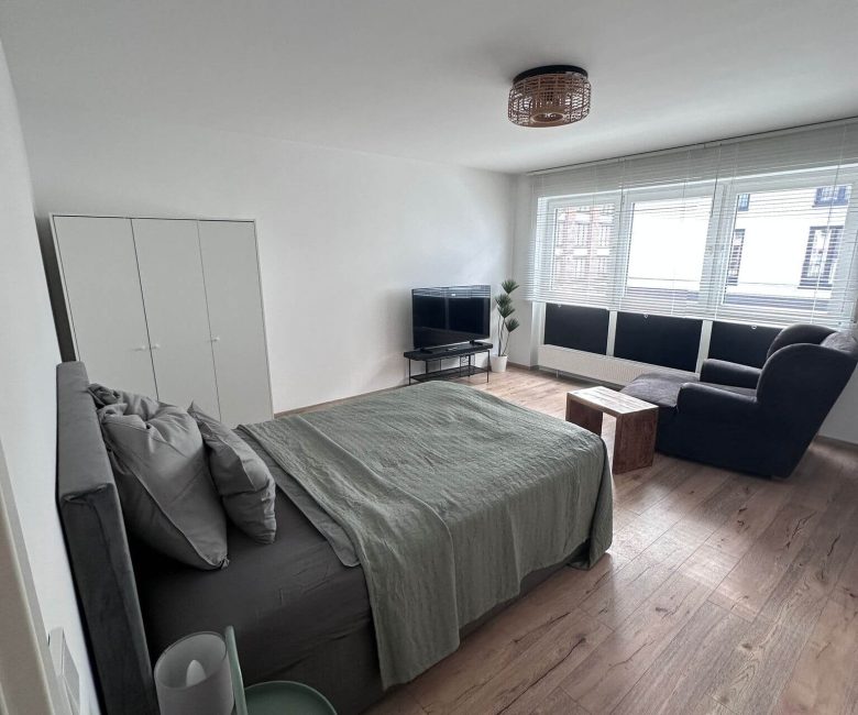 "frankfurt apartments for rent
"