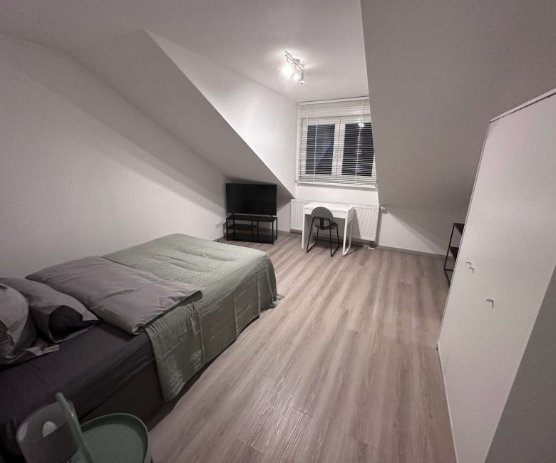 apartments in frankfurt germany for rent