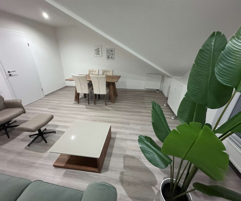 apartments in frankfurt germany for rent